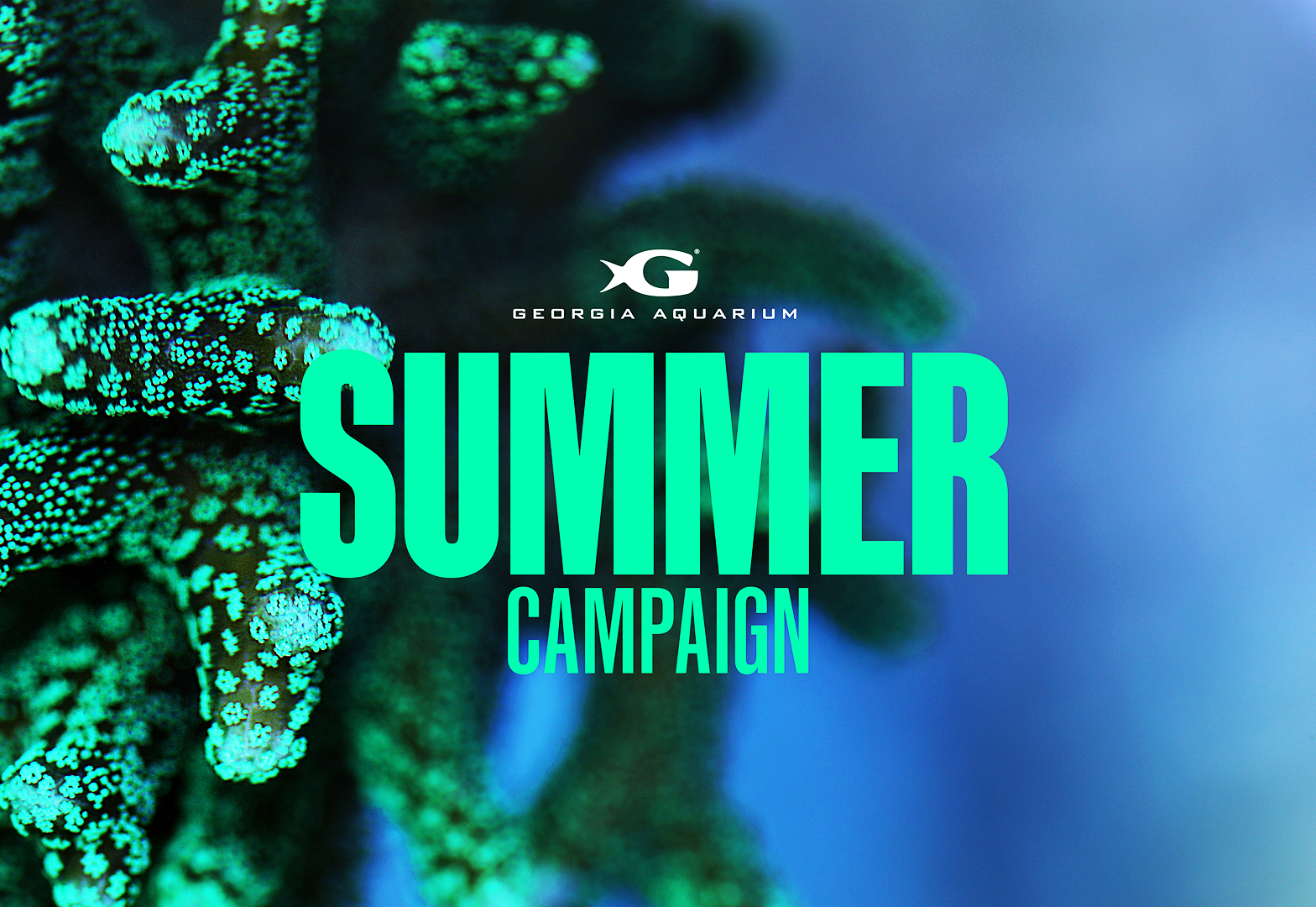 Georgia Aquarium